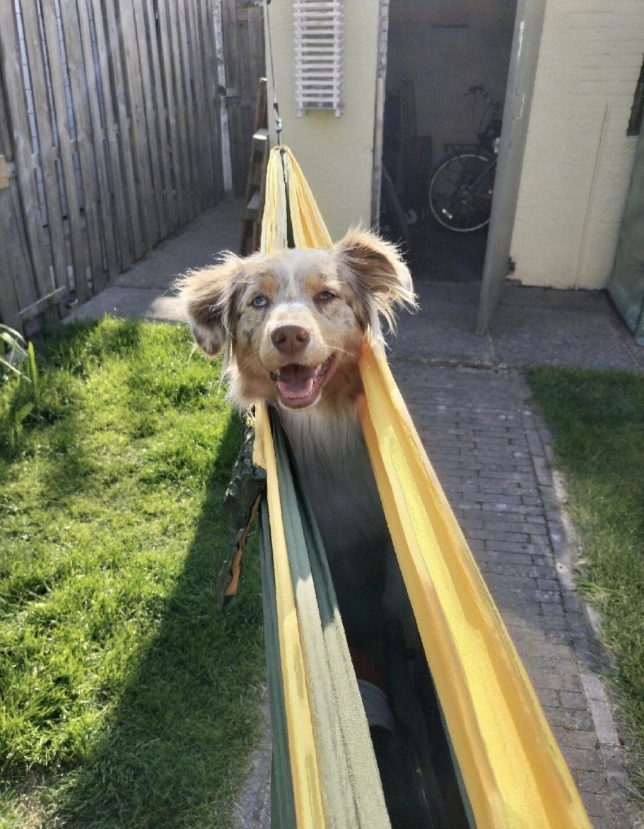 Hangjeugd