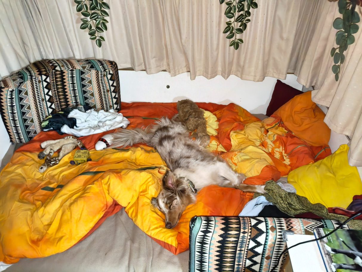 Freyja - Bed is bezetl hier