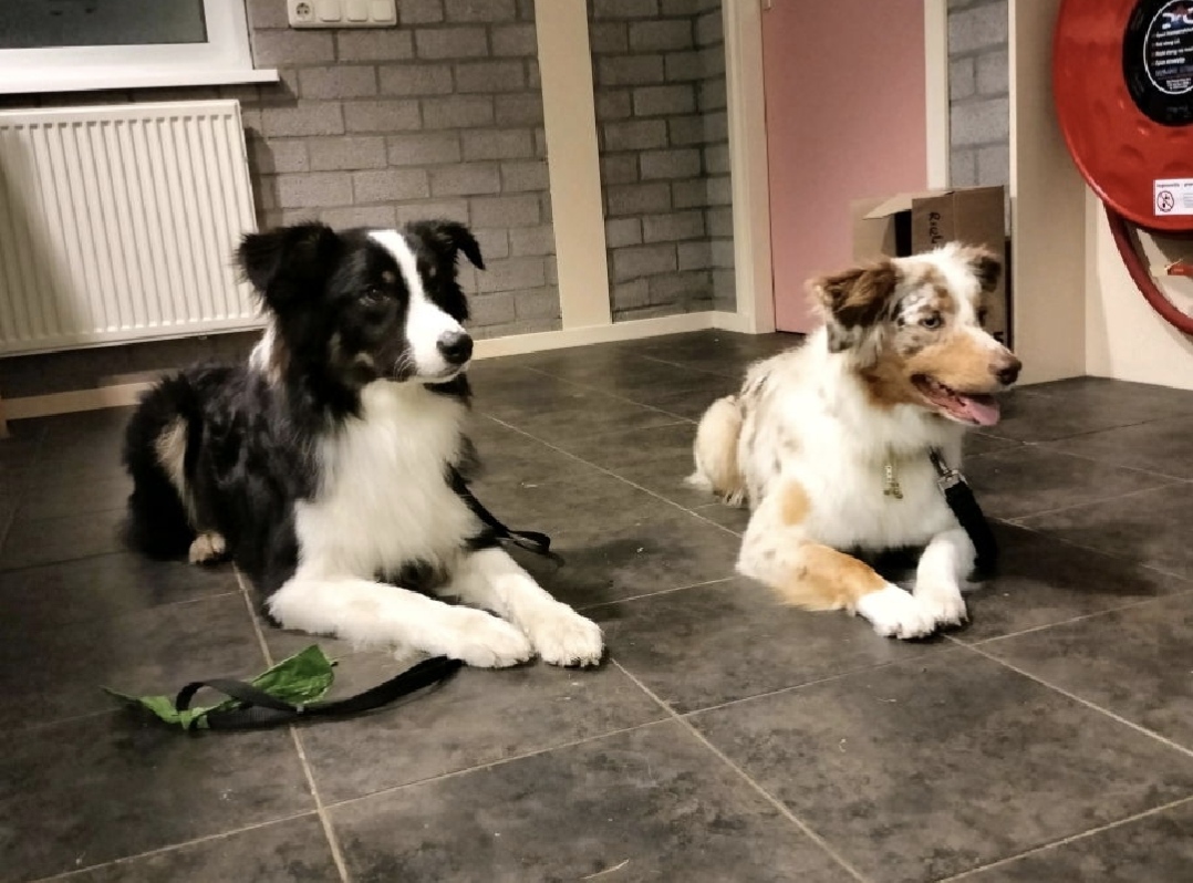 Broer en Zus - Charlie en Freyja