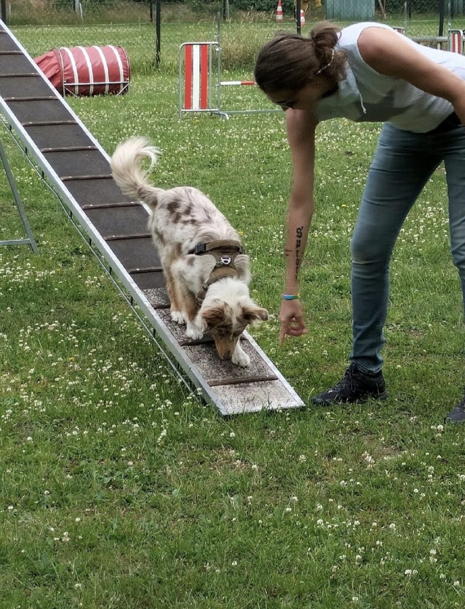 Agility training