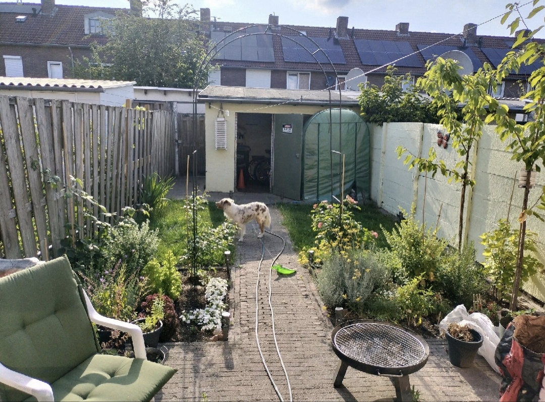 De Tuin Vol "Geurtjes" en Snuffelen