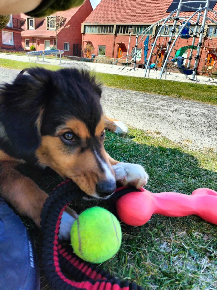 Max