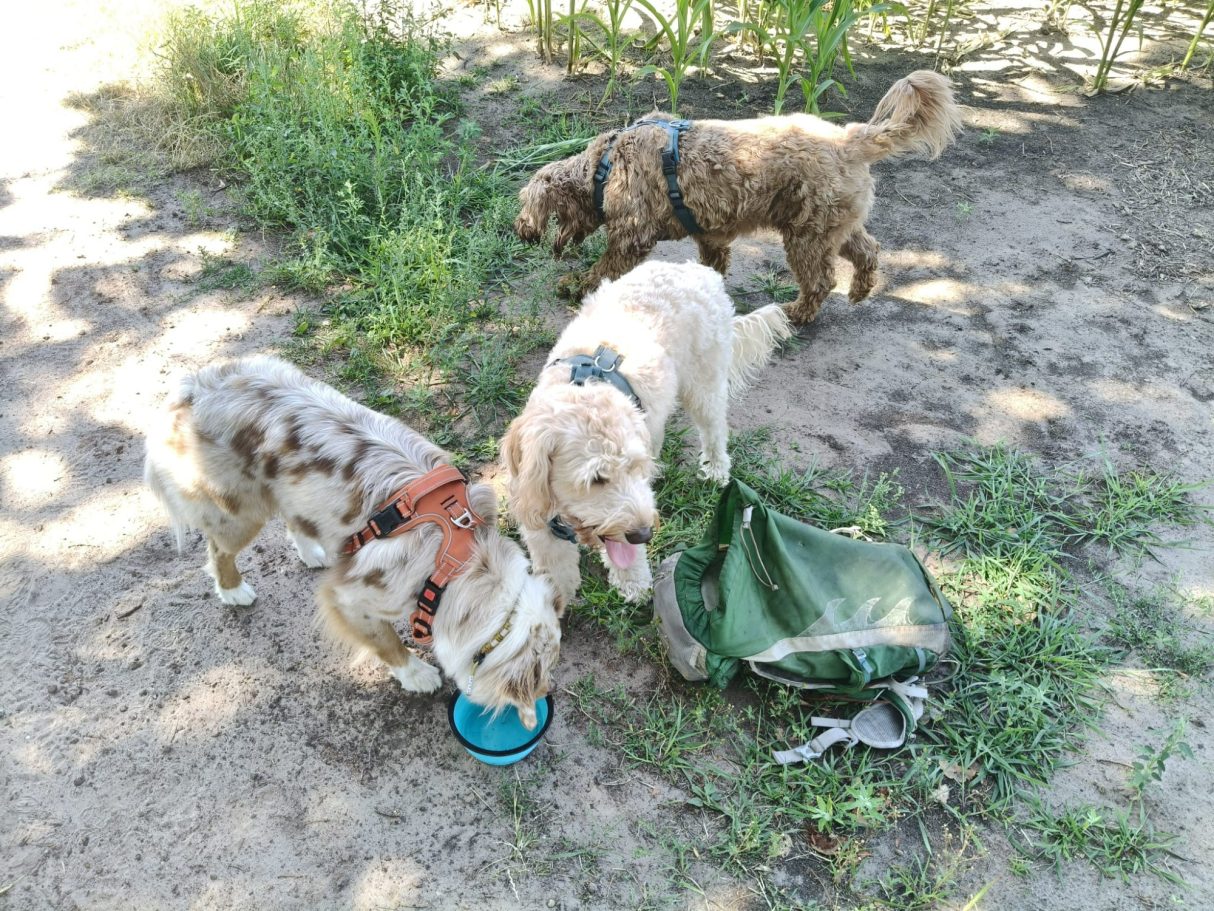 Drink-Break