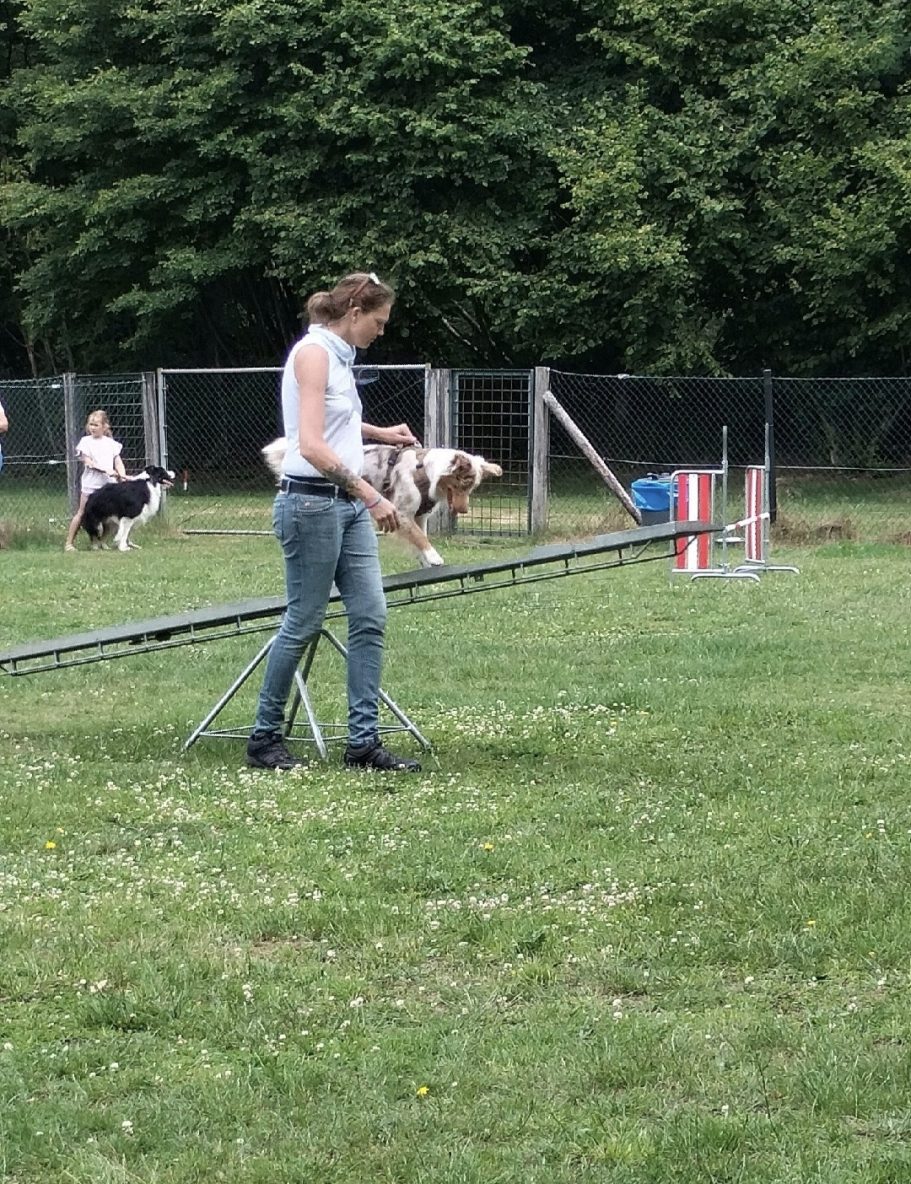 Agility training