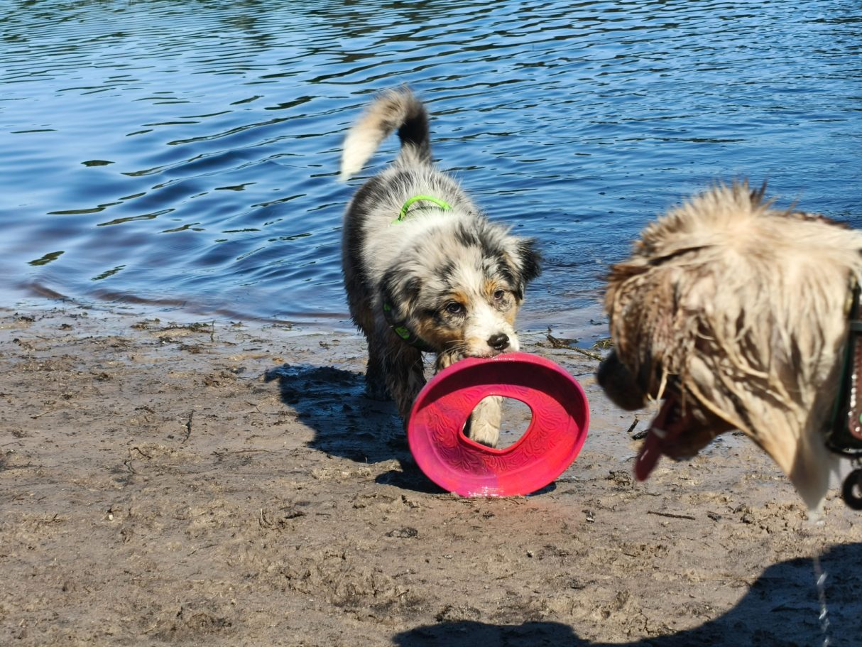 Zayja's Eerste keer naar de plas