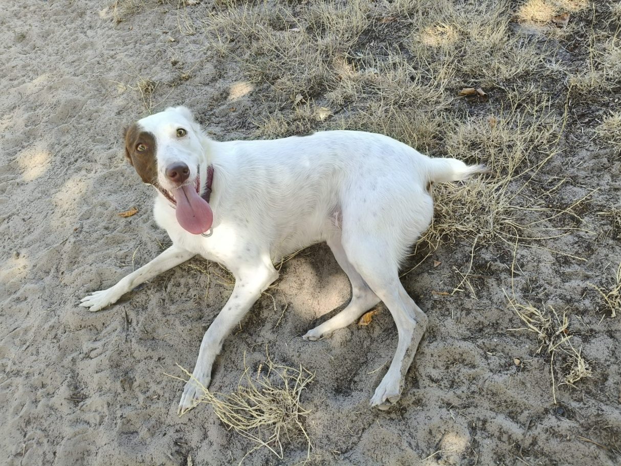 Happy Coco!