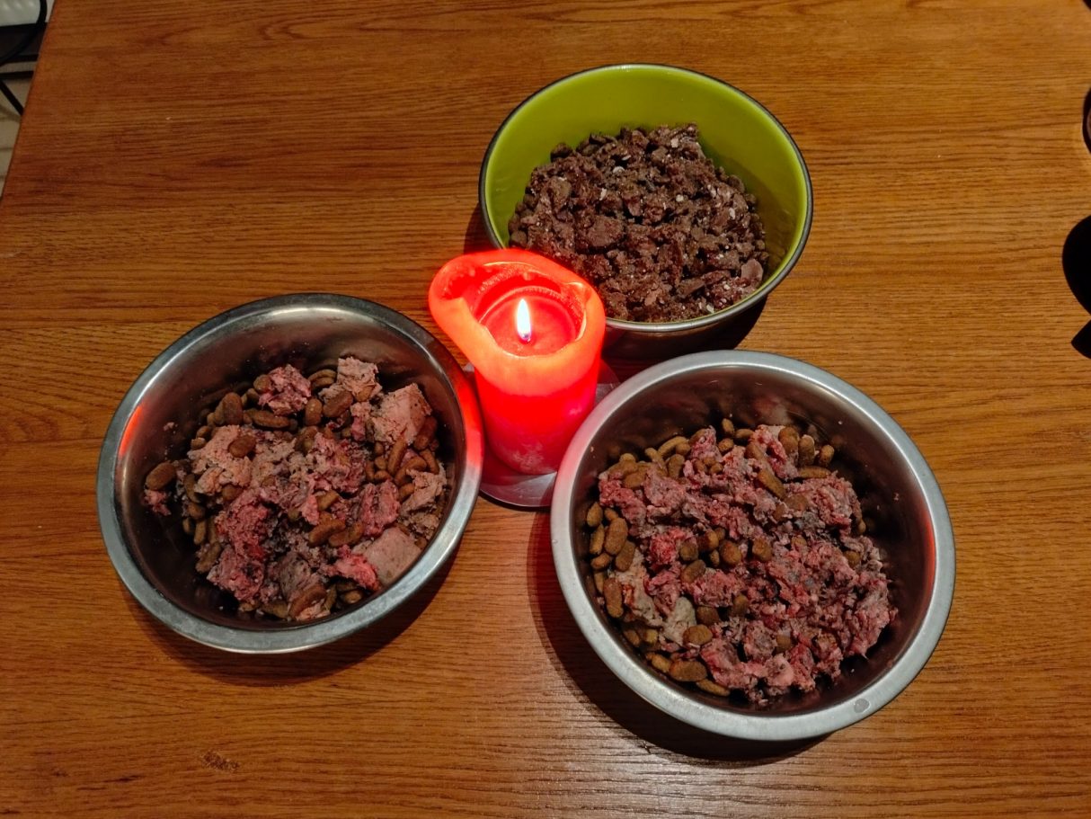 Dinner by Candlelight