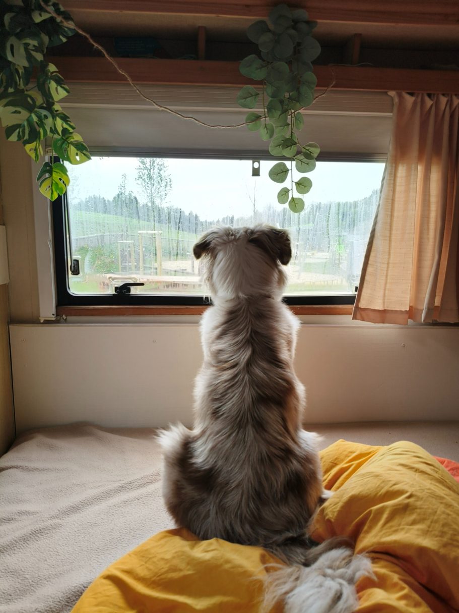 Camperday - Rainy day